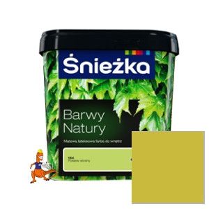 FARBA LATEKSOWA BARWY NATURY Z DODATKIEM TEFLON KOLOR WIATR POŁUDNIA 5L FIRMY ŚNIEŻKA 